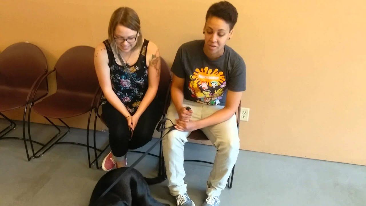 Success Story: Reno Dog Training Company Changes "Dash's" Life