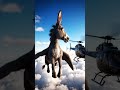Donkey and helicopter in the same sky #wildlife