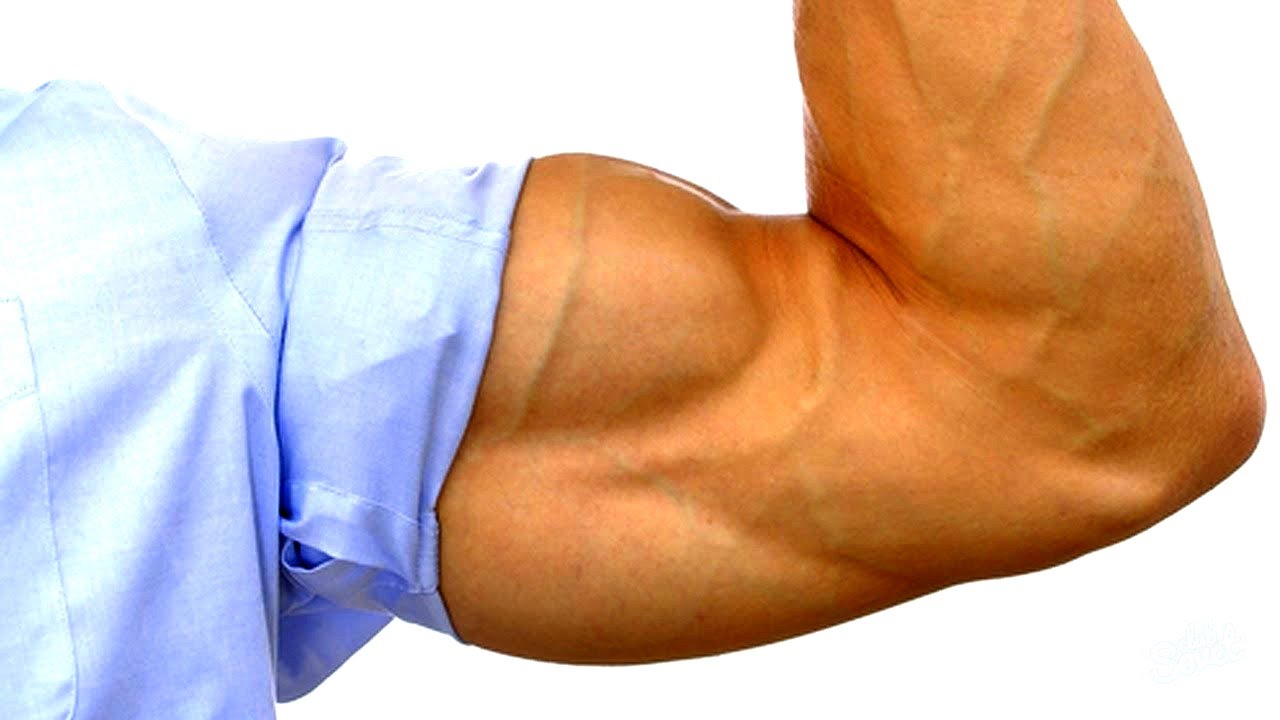 �������� ��������� �� ����� �������: ����.