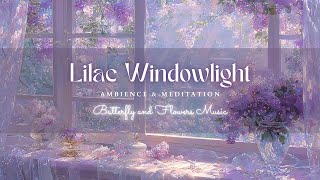 Lilic Windowlight — 3 Hours of Gentle & Uplifting Ambience | Bright, Healing, Dreamy Meditation | 4K screenshot 5