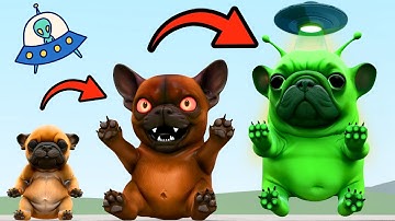 NEW EVOLUTION OF ALIEN PIBBLE (Geeble) In Garry