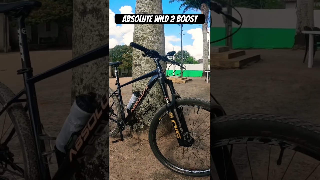 Minha Absolute wild 2 boost 