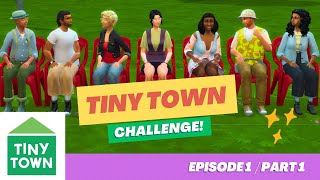 Starting Deligracy's Sims 4 Tiny Town Challenge - Episode #1 - Part One