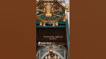 ايات من القران الكريم تلاوة ومقروء ايات بينات من سورة العنكبوت أجمل ايات الامل و السكينة
