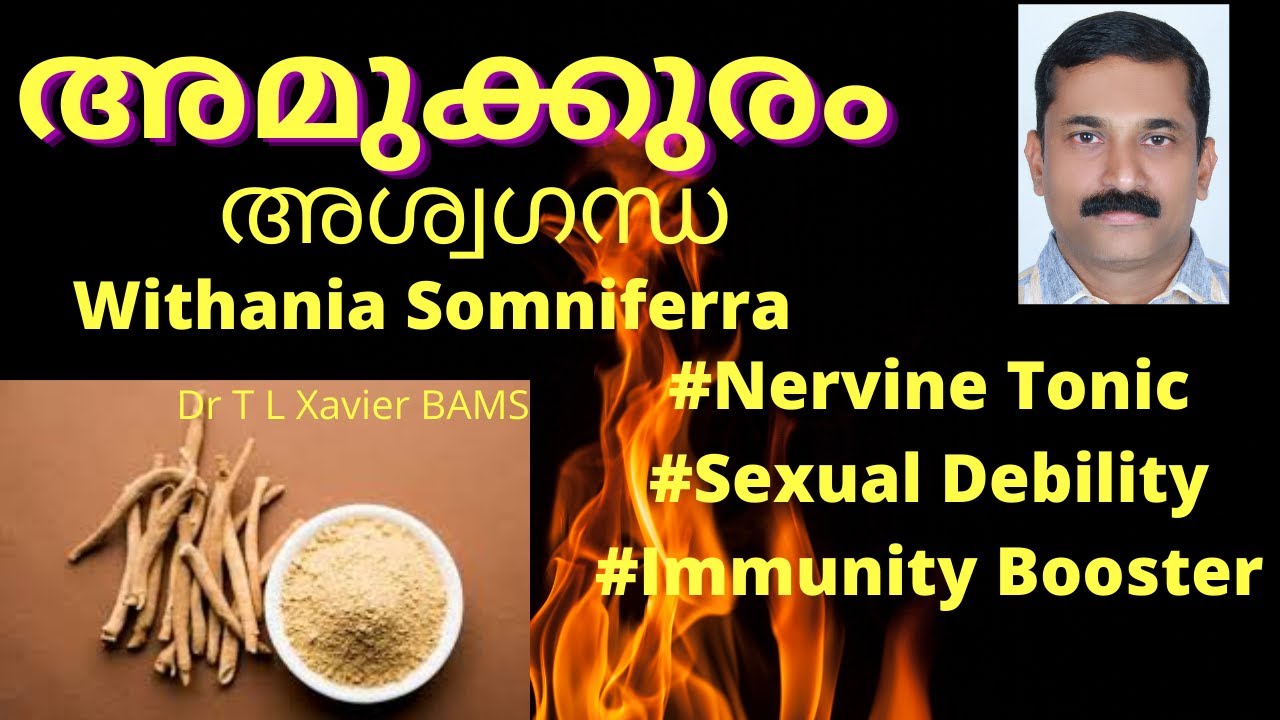 അമുക്കുരം | അശ്വഗന്ധ | Withania Somnifera | ധാതുപുഷ്ടിക്കും യുവത്വത്തിനും| Dr T L Xavier | Ayurvedam