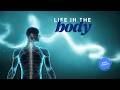 Life in the Body (Philippians 1: 21-30)