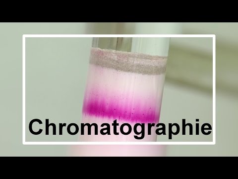 Vidéo: Qu'est-ce que le front de solvant en chromatographie ?
