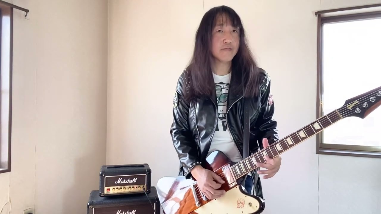 Hippy Hippy Shake  /   THE GEORGIA SATELLITES   guitar cover