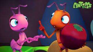 Midnight Manic | ANTIKS | Funny Cartoons For All The Family!