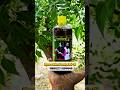 #MysoreAdivasi #AmulyaHair Oil🍀🌺