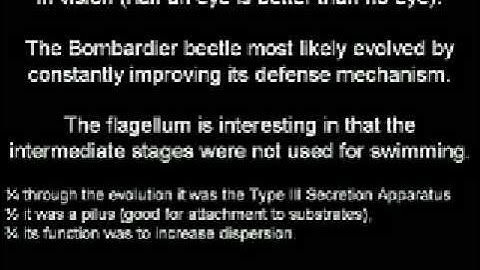 The Evolution of Irreducible Complexity