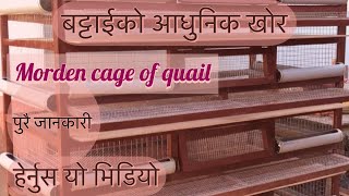 morden cage of quail/बट्टाई को आधुनिक खोर /battai ko aadhunik khor/quail cage/nptentertainment