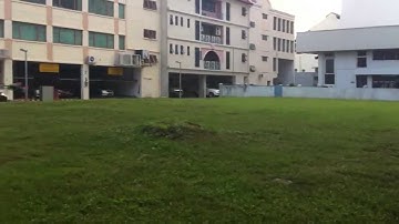 Walkera 4CH QR Ladybird V2 RC Quadcopter + Devo 4 Transmitter