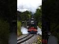 99 1785 am 15.05.2026, hämmert duch den Regen 😤🥶🌧 #trainspotting #train #fichtelbergbahn #dampflok