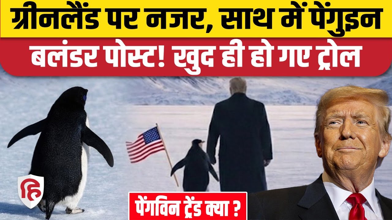 Penguin Memes: पेंगुइन के साथ Greenland चले Trump, ऐसा पोस्ट किया कि खुद ही  हो गए ट्रोल | America
