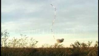 Omega Radio Tower - Controlled Demolition, Inc.