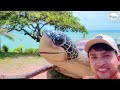 Middle of video