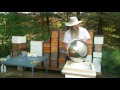 How to Prepare Your Bees for Winter - Candy boards and Preparing your Hive