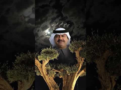 الصراحة انت لي راحه ميحد حمد مها  ستوريات شيلات2024 اغاني2024 تصميم فيديوهات اكسبلورر