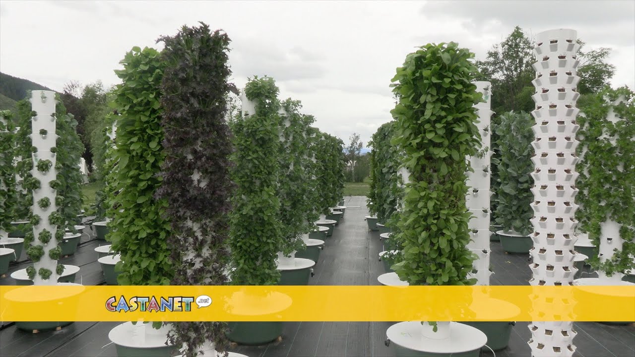 Future of farming is here - YouTube