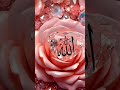 #trustonallah #answer #islam #jaidmeel #trending #youtubeshorts