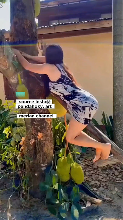 momen lucu ketika cewek cantik panjat pohon nangka bikin ngakak‼️‼️#lucu #cewekcantik #pohonnangka