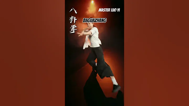 Transform Your Skills with Baguazhang, Changquan, and Tongbeiquan - Master Luo Yi