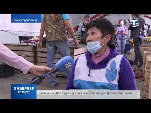 Ялтинский лук «поедет»