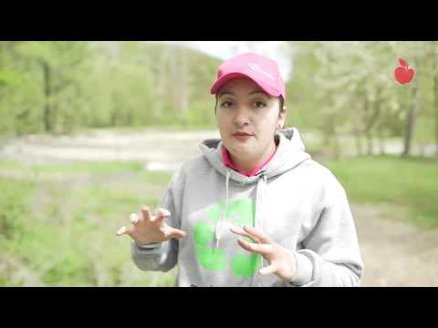 კომპანიები - ,,კრისტალი\" ,,Grant Thornton’’ და ,,Well 3’’ შიდა ქართლის გარემოს ელჩები გახდნენ