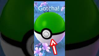 DO THIS WHEN CATCHING THIS POKEMON! 🤩