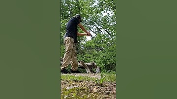 gflex glock 23 #gflex #binary #fun #cool #merica #switch #glockswitch