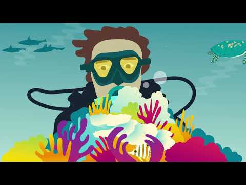 Video: 7 Miljøvennlige Merker Som Hjelper Til Med å Redde Havene Våre