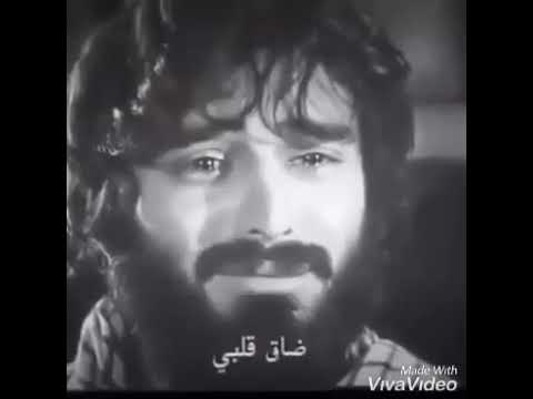 صعبان على قلبي النفس