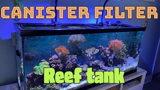 Simple Saltwater Tank w/ Canister filter