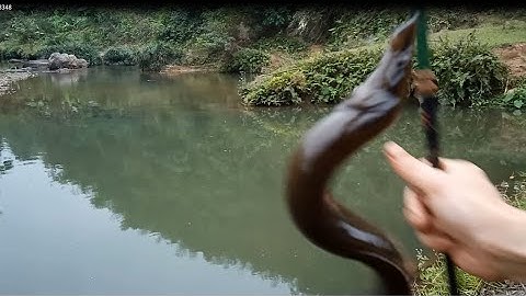 Câu cá suối hoang dã phong cảnh tự nhiên/Wild stream fishing