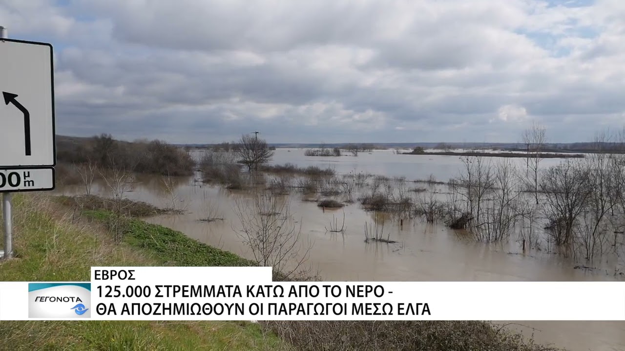 ΕΛΓΑ: 120.000 στρέμματα αγροτικών καλλιεργειών έχουν πληγεί στον Έβρο από τις πλημμύρες