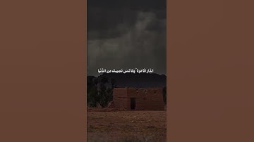 روائع التلاوة | سورة القصص بصوت خاشع يُبكي القلوب #قرآن #تلاوة_خاشعة #القرآن_الكريم #سورة_مؤثرة