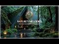 Deep Work Music ~ Lakeside Cabin Ambience - Focus Music for Coding & Deep Concentration Max