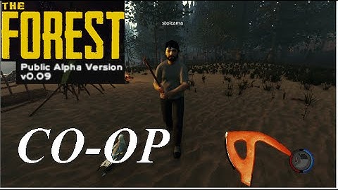 MULTIPLAYER CO-OP! Let