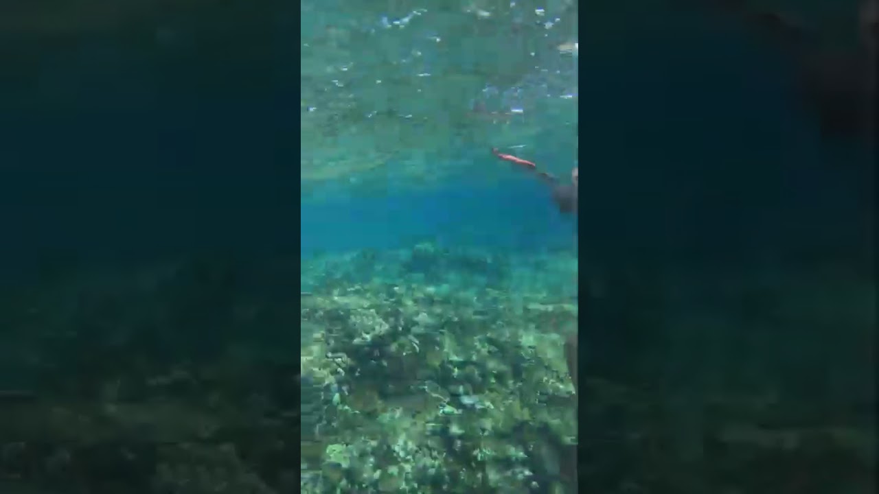 The Part4 Çalayan Island Adventure - fishing under the water