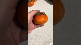 Got persimmons from the food bank, delicious and nutritious and low calorie!!! #healthyfood