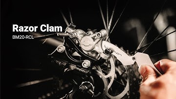 Razor Clam - Product Highlight