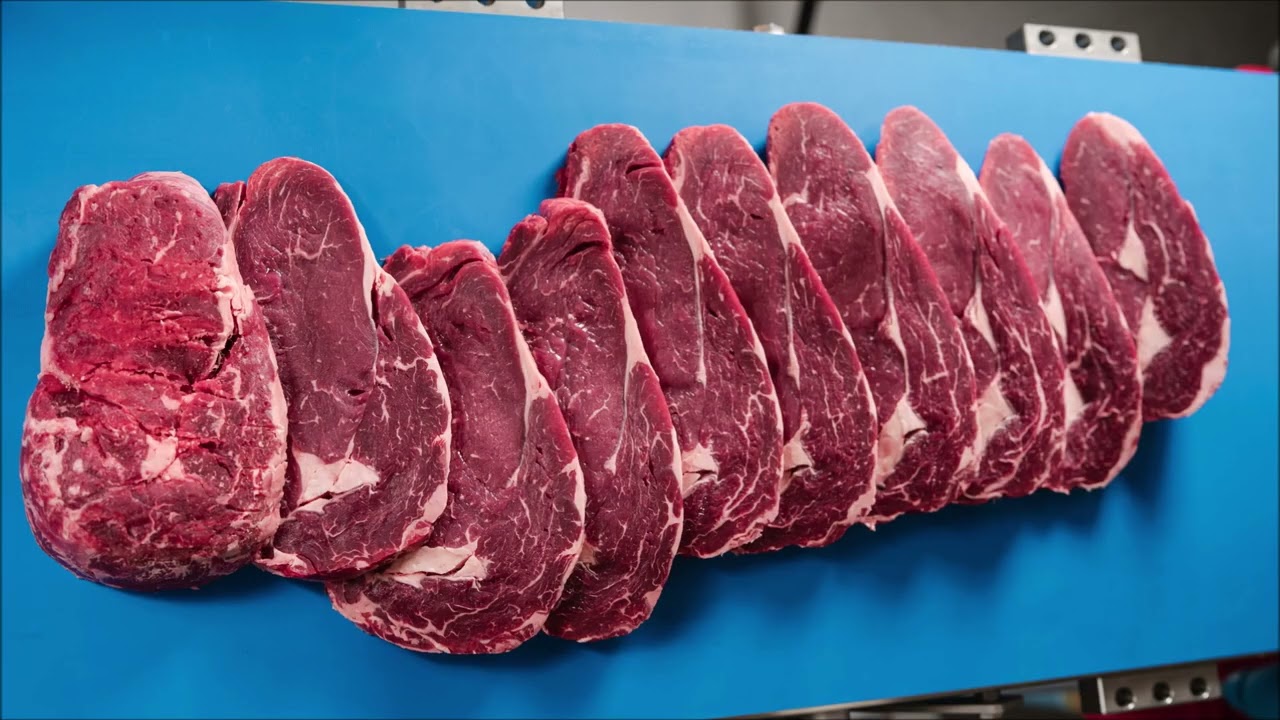 RAM Equipment's Full Feature Overview of the MHS FS 800 Industrial Slicer