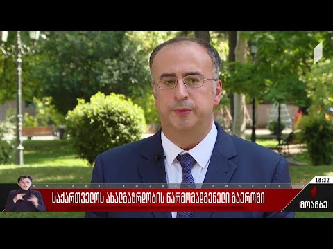 საქართველოს ახალგაზრდობის წარმომადგენელი გაერო-ში