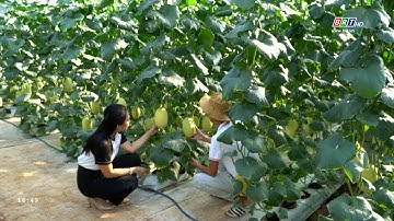 Nhà nông hội nhập 20/1/2024 | Trồng dưa công nghệ cao | BRT TV