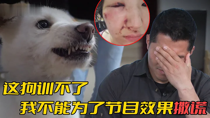 姜訓犬師拒絕訓練！惡犬把孩子咬到毀容，當媽的卻不願把狗送走 - 天天要聞