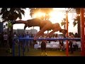 Calisthenics World Cup (PART 2) Bahrain 2015