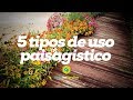 5 tipos de uso paisagístico