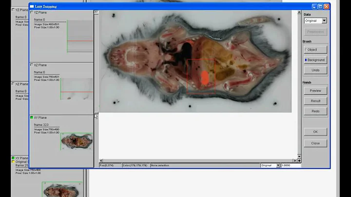 MiiL Tutorial : Color Image Segmentation by 3D Lazy Snapping
