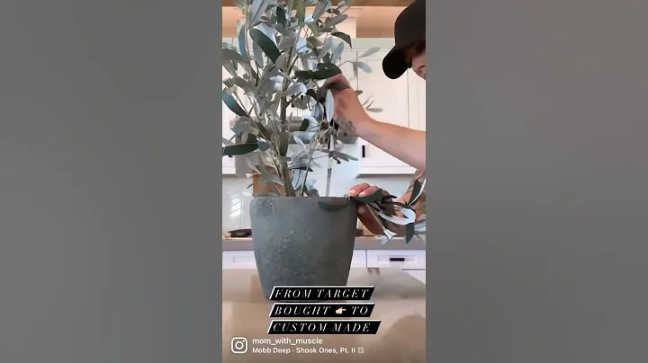 From Target to DIY olive bush